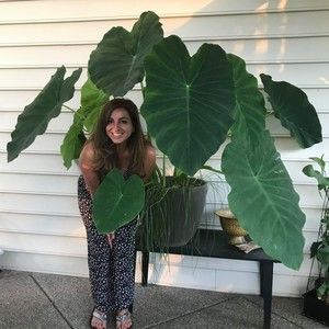 Meet your Posher, Mona